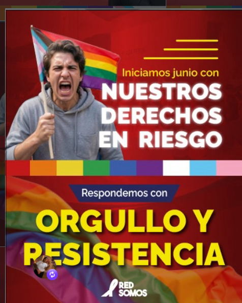 RED SOMOS ORG.